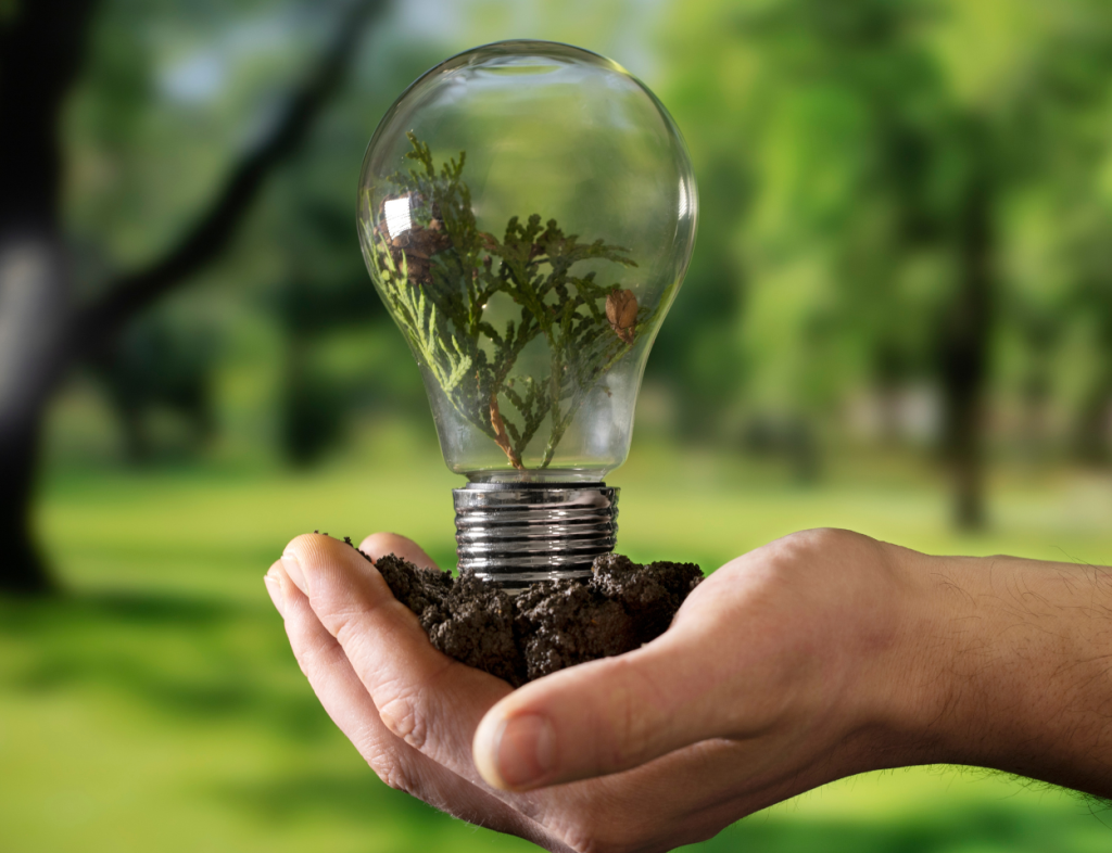 Brasil: País referência em energia sustentável